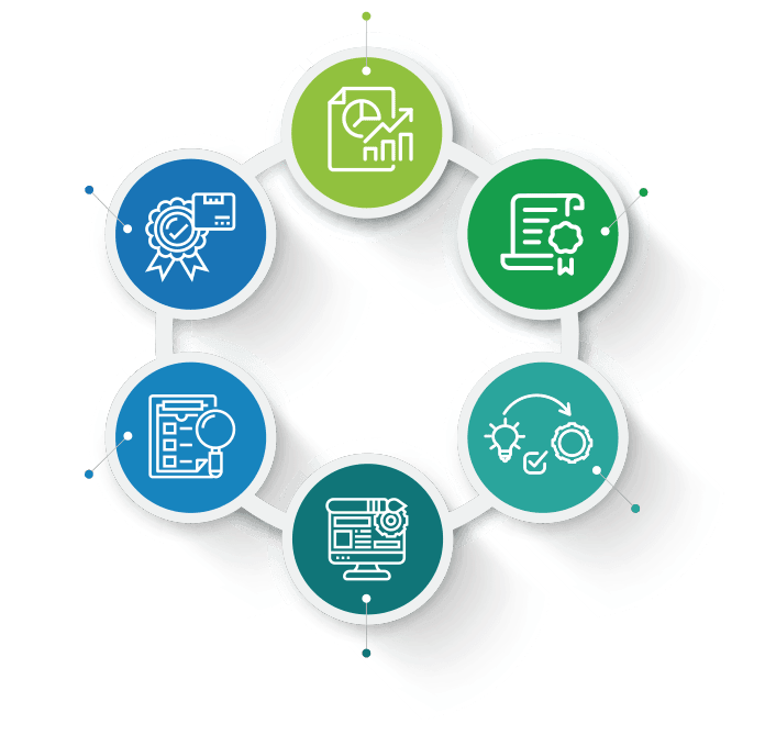 Management Systems Implementation and Coaching in Medical Devices