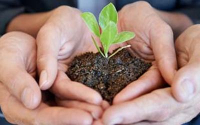 Omnex at the 2024 AIAG Quality Summit