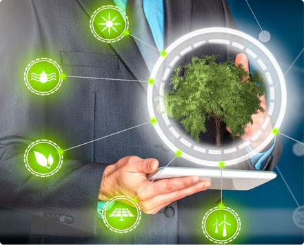 carbon project verification